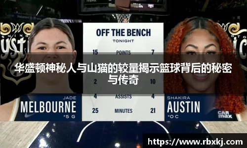 华盛顿神秘人与山猫的较量揭示篮球背后的秘密与传奇